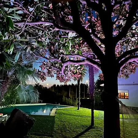 Paxarinas * 산신소